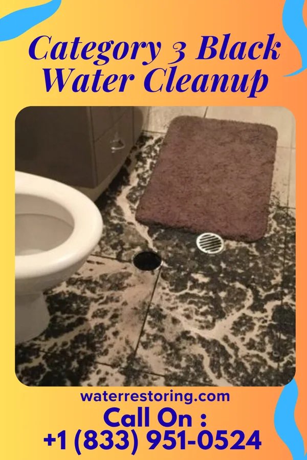 Category 3 Black Water Cleanup in Wrightstown, NJ