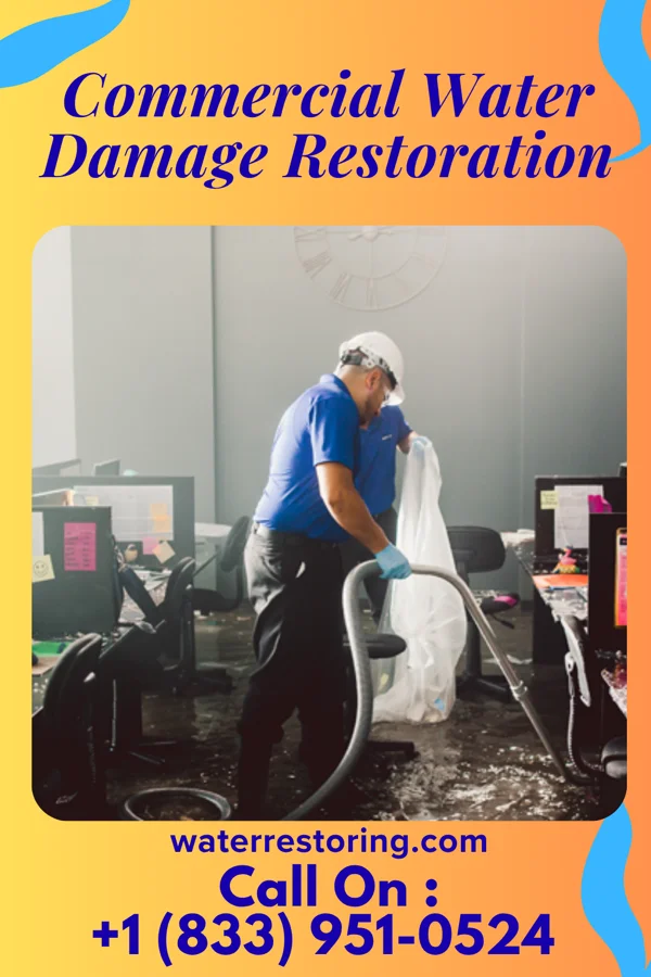 Commercial Water Damage Restoration in Wrightstown, NJ