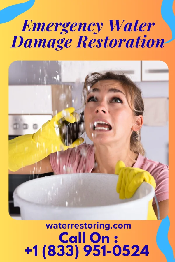 Emergency Water Damage Restoration in Wrightstown, NJ