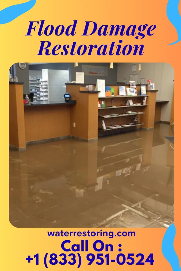 Flood Damage Restoration in Wrightstown, NJ