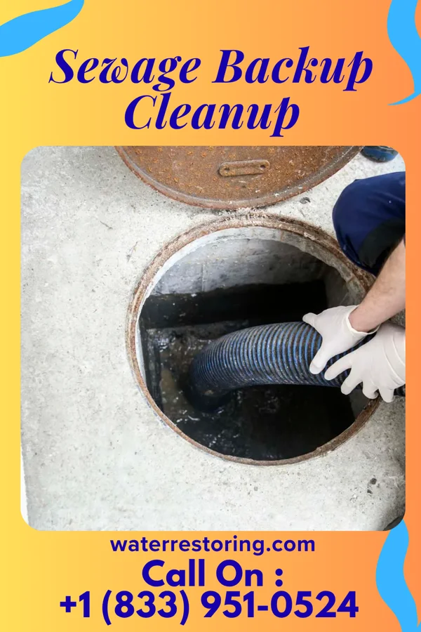 Sewage Backup Cleanup in Wrightstown, NJ