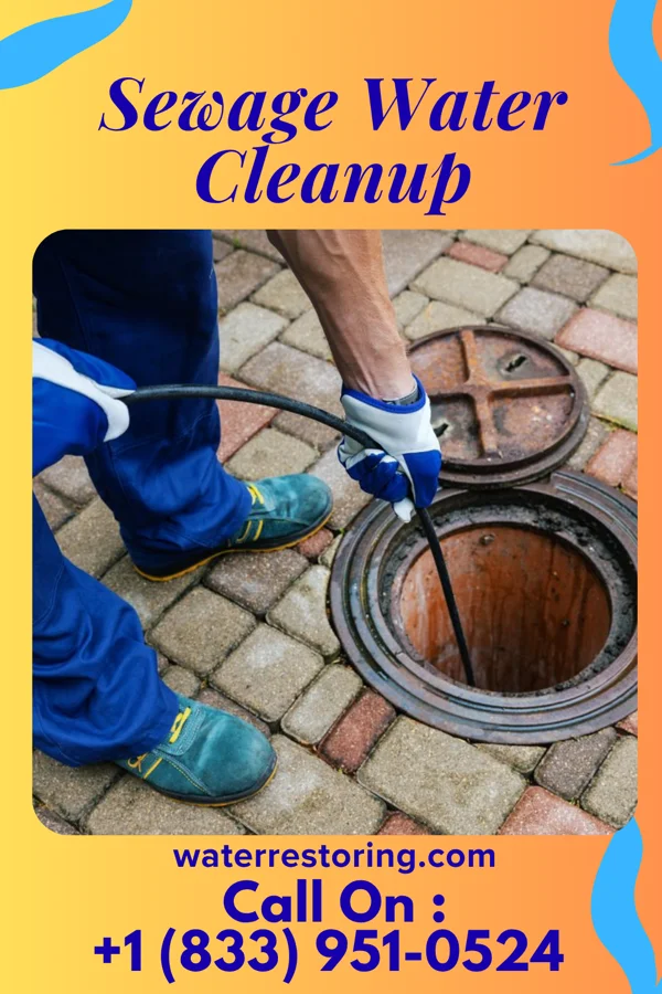 Sewage Water Cleanup in Wrightstown, NJ