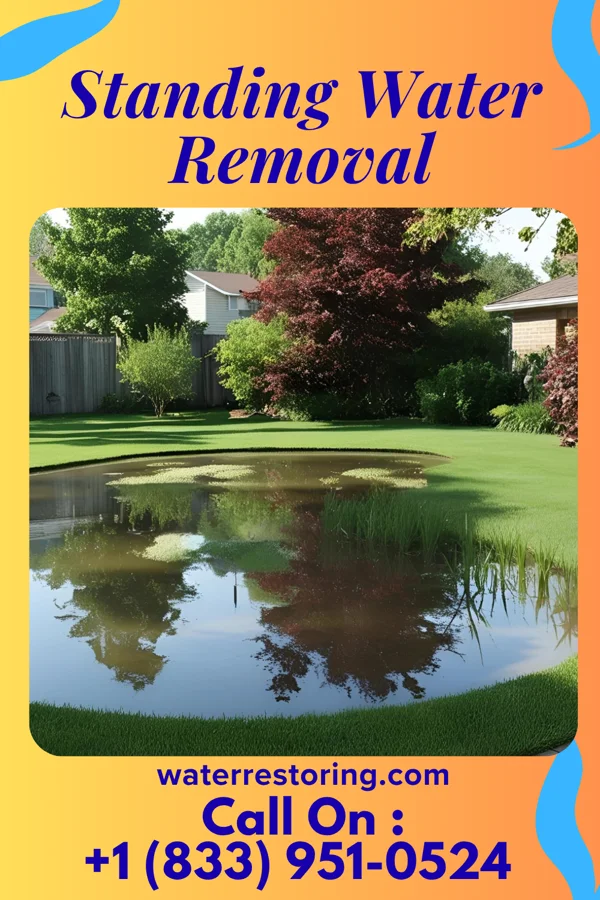 Standing Water Removal in Wrightstown, NJ